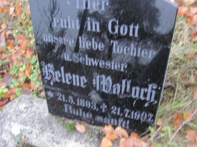 Helene Malloch 1893 Dłużec gm. Piecki - Grobonet - Wyszukiwarka osób pochowanych